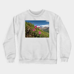 Summer in Glacier NP Crewneck Sweatshirt